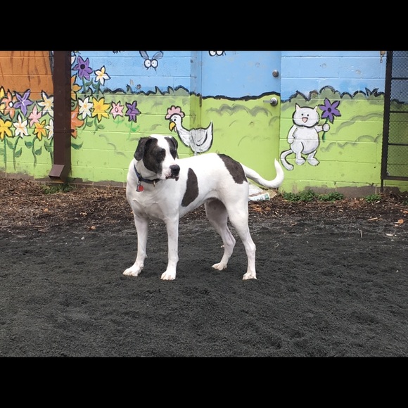 Meet your Posher, Jeanne - Picture 3 of 3